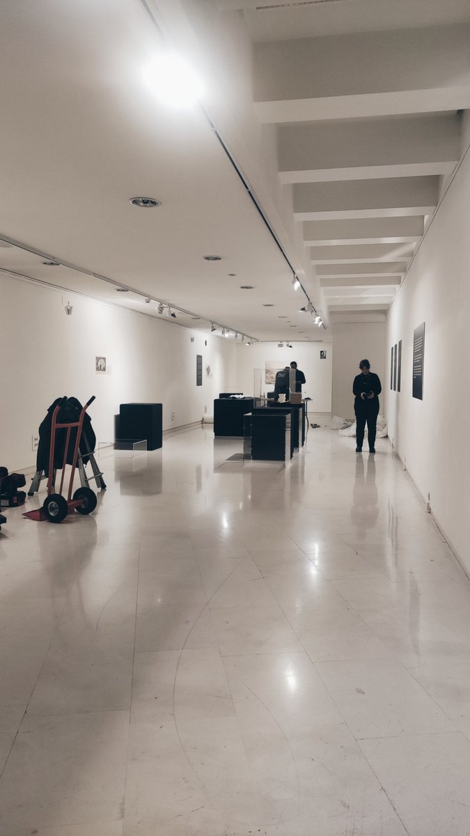 toriceslab's tweet image. Ayer estuvimos desmontando en Valladolid la exposición "Iluminando la Ciencia: Paleontólogas e Ilustradoras". Ha sido una gran experiencia y las comisarías @atorices_angie y @anabelguzmo agradecen al @MCienciaVLL esta oportunidad de visibilizar a estás pioneras de la ciencia.