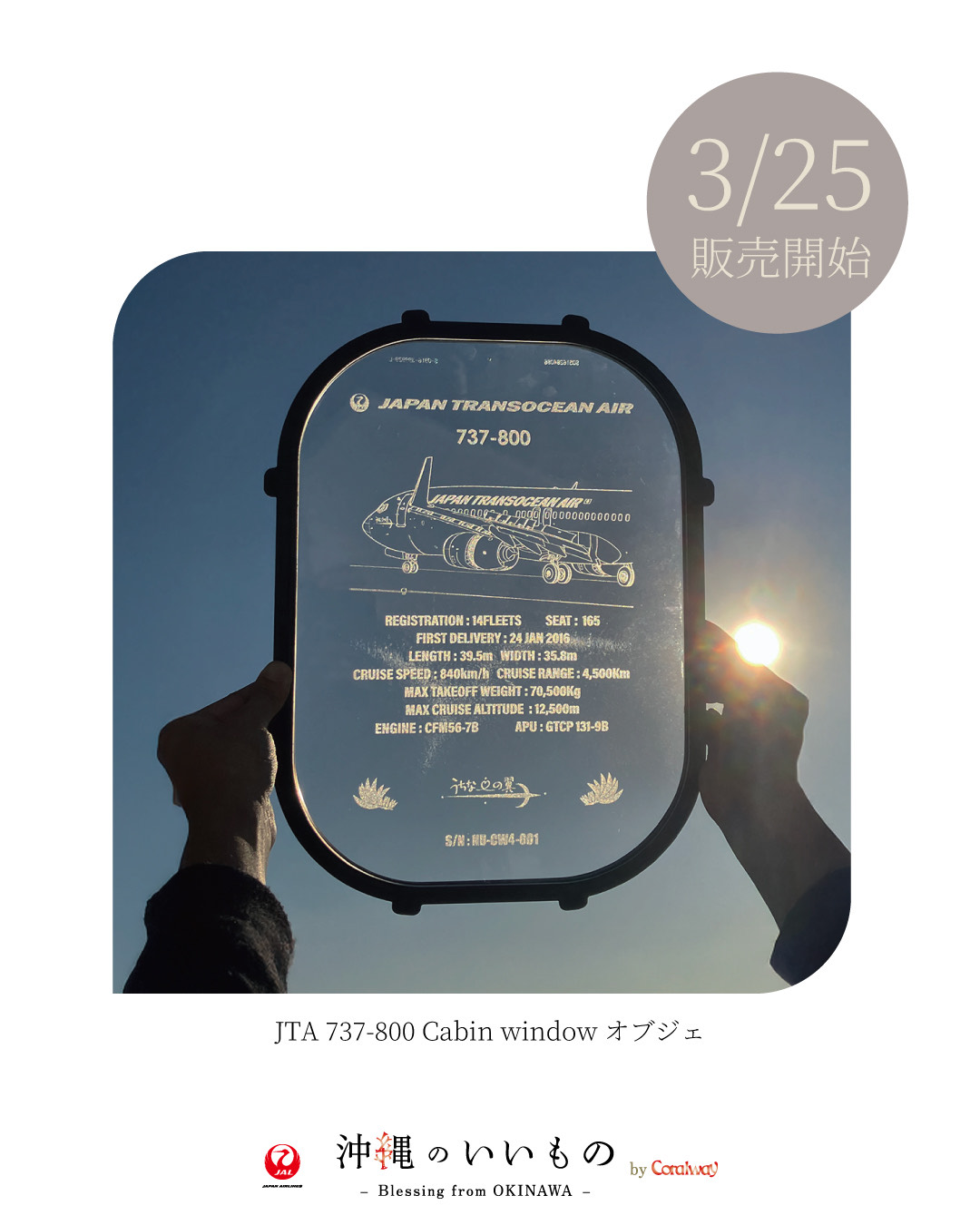 南西航空 JTA Coralway　ひろりんさん限定 沖縄のいいもの by Coralway」誕生100日記念祭について | JTA