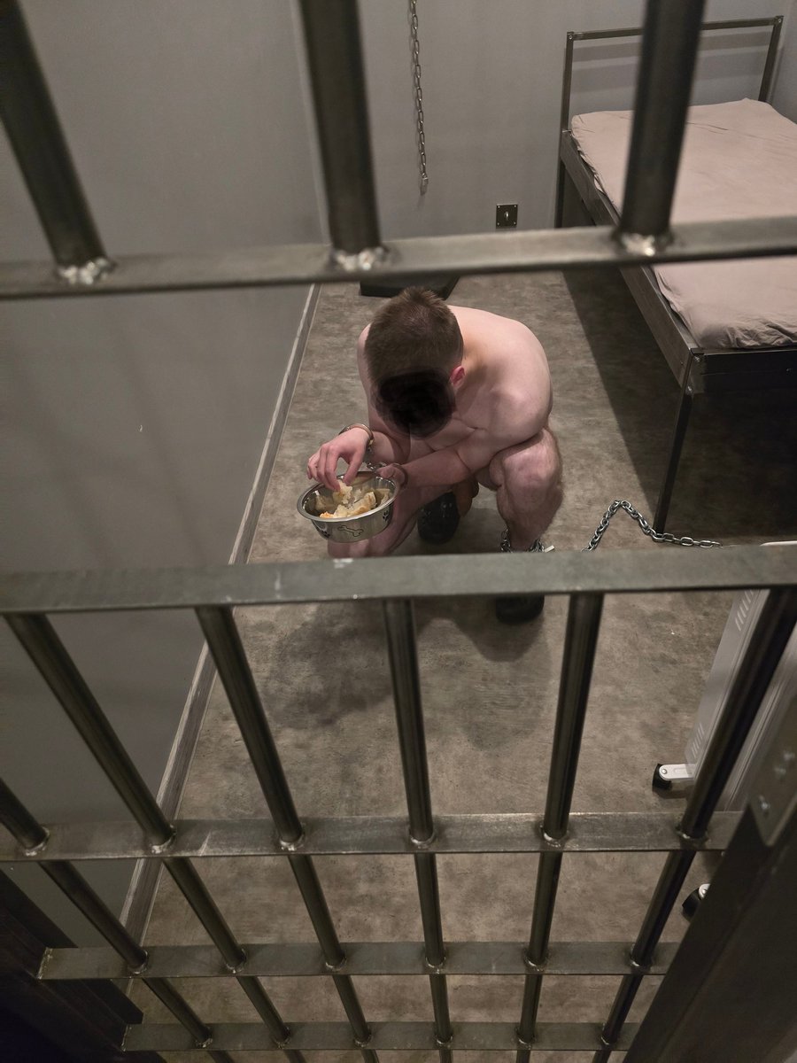 Dream meal: water-soaked bread