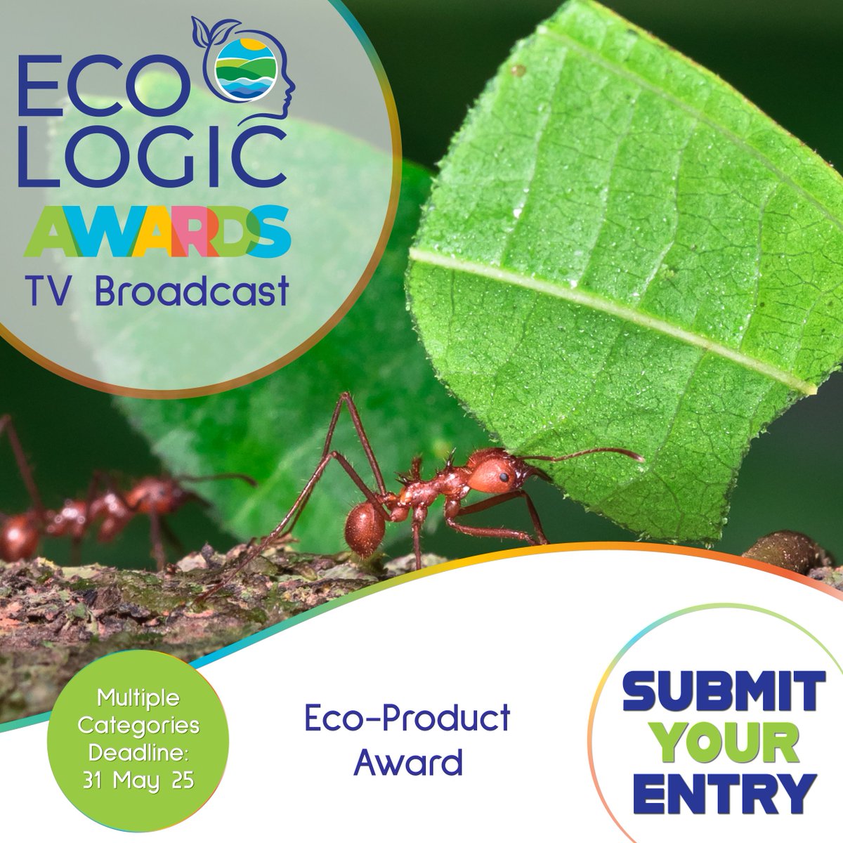 Do you know of a Eco-Logical Product doing great things for people and planet? Enter/ nominate: http://eco-logicawards.comDeadline: 31 May 25 Watch the awards on #peoplesplanet, Channel 115 on #Openview and The #HomeChannel, Channel 176 on
<a href="/DStv/">DStv</a>
#EcoLogicAwards25