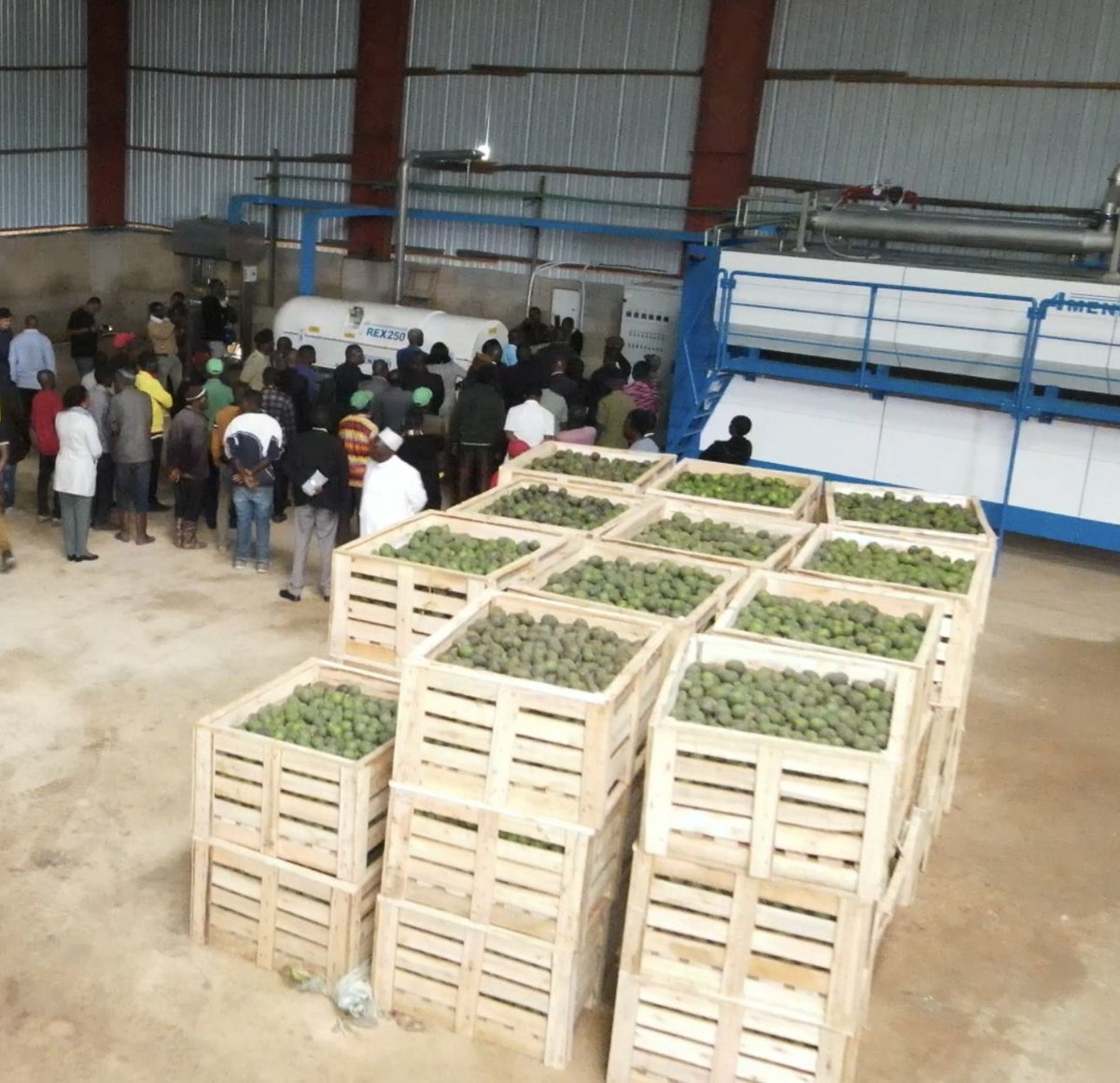 InvestTanzania's tweet photo. Waziri wa Nchi, Ofisi ya Rais - Mipango na Uwekezaji, Prof. Kitila Mkumbo, ametoa wito kwa taasisi za serikali kuweka vipaumbele katika kuboresha miundombinu, hasa katika maeneo yenye vyanzo vya kiuchumi kama vile maeneo ya uwekezaji. Aliyasema haya mapema jana baada ya ufunguzi wa ofisi ya Kanda ya Nyasa ya Kituo cha Uwekezaji Tanzania (TIC) iliyoko Njombe. 

Prof. Mkumbo alizungumza akiwa katika kiwanda cha Murikado Food Supply Co. Ltd, kilichopo Makambako ambacho kinamilikiwa na Mtanzania aliyewekeza kiasi cha shilingi bilioni 5 za kitanzania kinachochakara mafuta ya parachichi mkoani humo. 

Alisisitiza kuwa huduma za msingi kama maji, barabara, na umeme ni muhimu mno kwa mwekezaji, ambaye hapaswi kuhangaika kuhusu huduma hizi, kwani anakuja kuzalisha ajira na kuchangia katika ukuaji wa uchumi wa eneo husika.

Aliendelea kwa kumpongeza mwekezaji huyu, ambaye ni Mtanzania aliyewekeza na kuona fursa katika sekta ya kilimo hadi uchakataji wa mafuta. Pia alibainisha kuwa Mhe. Rais Dkt. Samia Suluhu Hassan anafurahishwa kuona Watanzania wajasiri kama hawa wanaothubutu na kuchangia katika ukuaji wa uchumi wa nchi.