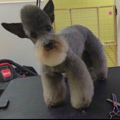 JSWAN3tv's tweet photo. #NewProfilePic https://t.co/mKs7dJd0hj