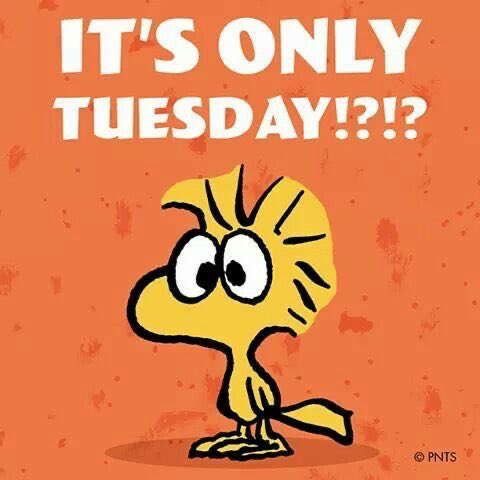 snoopyandfrien6's tweet photo. IT’S ONLY 
TUESDAY!?!? https://t.co/CVZYSI8EbV