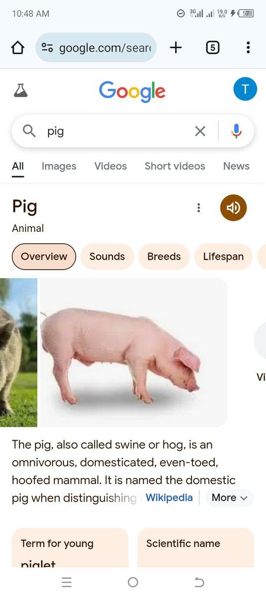 TEDIOUS MUSINACHIREVO tweet media