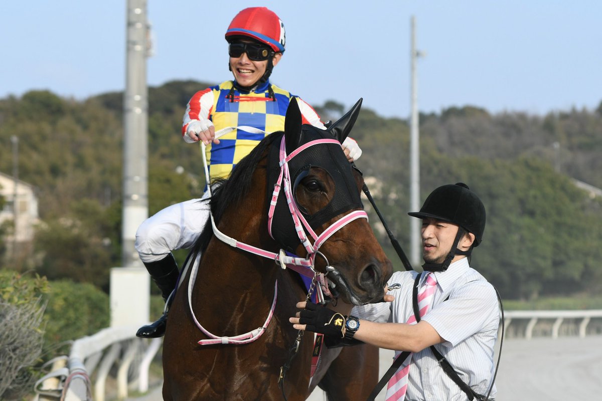 黒船賞 1着はシャマル。本日、高知競馬場で行われた第27回黒船賞