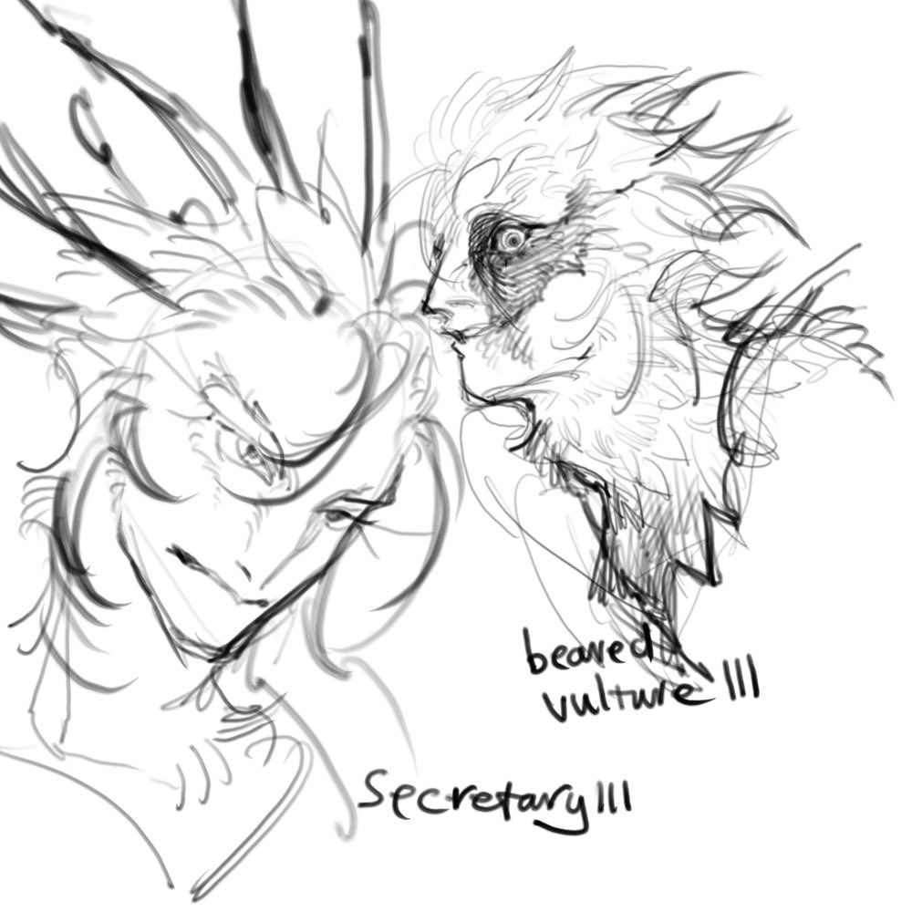 Ka’s Loz tweet media