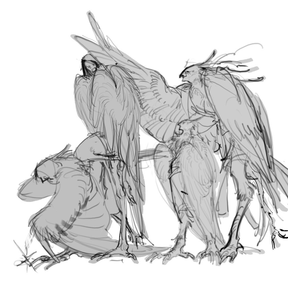 Ka’s Loz tweet media