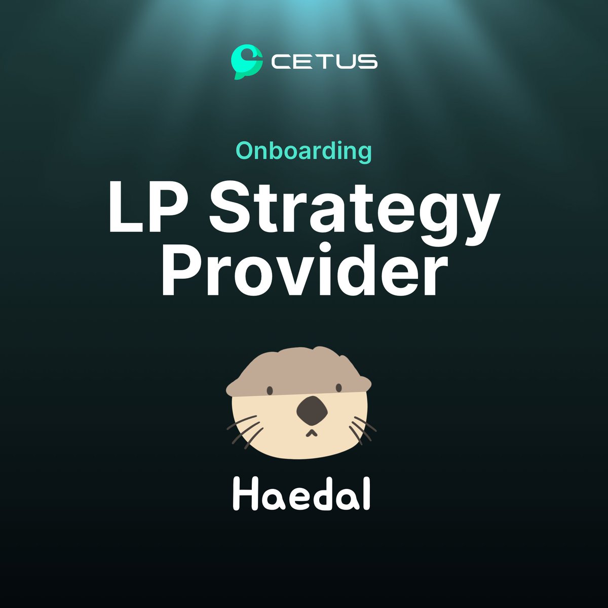 CetusProtocol's tweet image. 2/ 🔥 In addition to Cetus's own vault product, the first 3rd party LP strategy provider to be integrated is @HaedalProtocol! Their recently launched haeVault products are designed to supercharge users’ yield performance on #Cetus' most popular volatile pools.