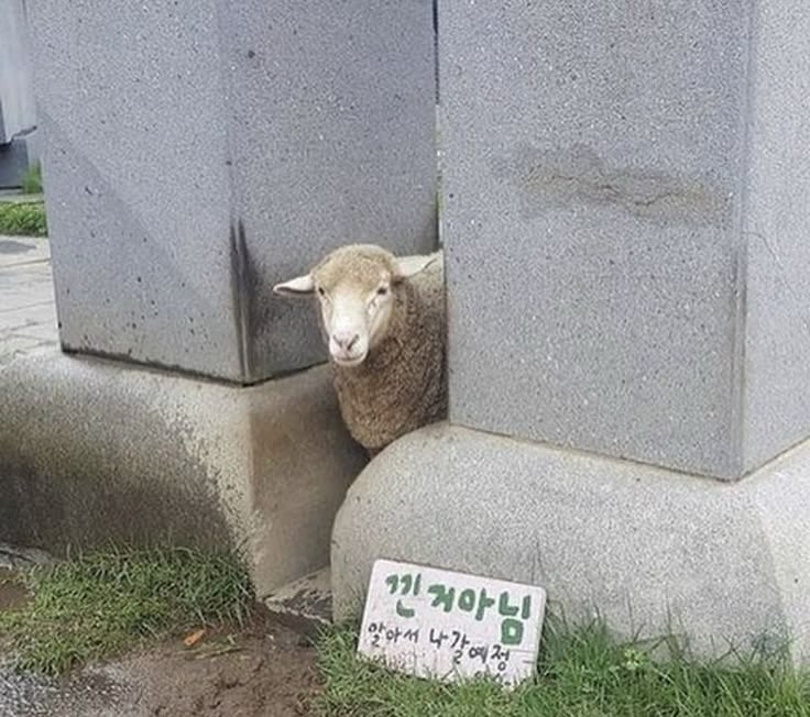 낀 거 아님
알아서 나갈 예정