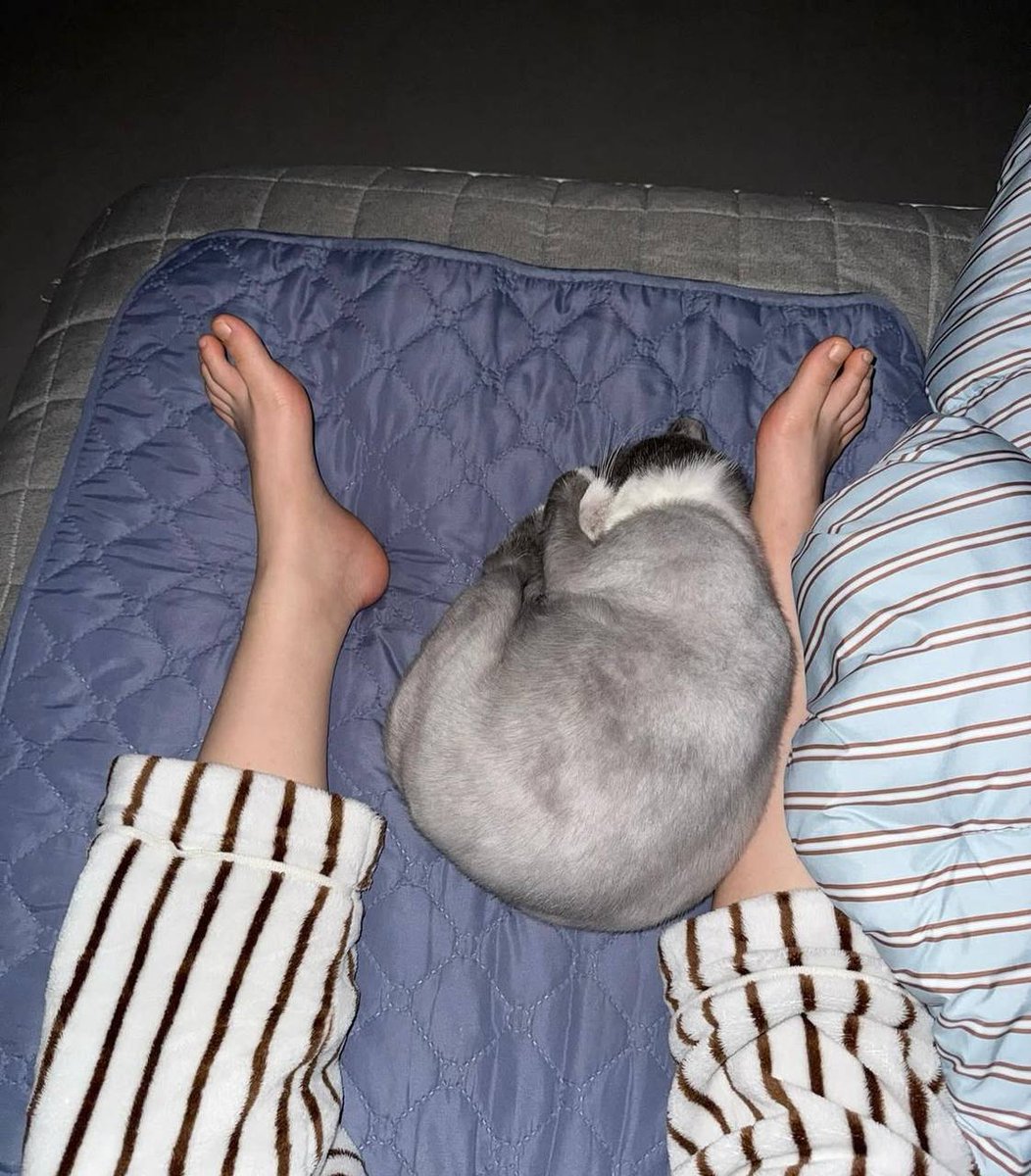 #일산 #대화동 매번 가은이네 집에 놀러오면 냥이가 항상 발밑에서 잠들어버림 ㅋㅋㅋ