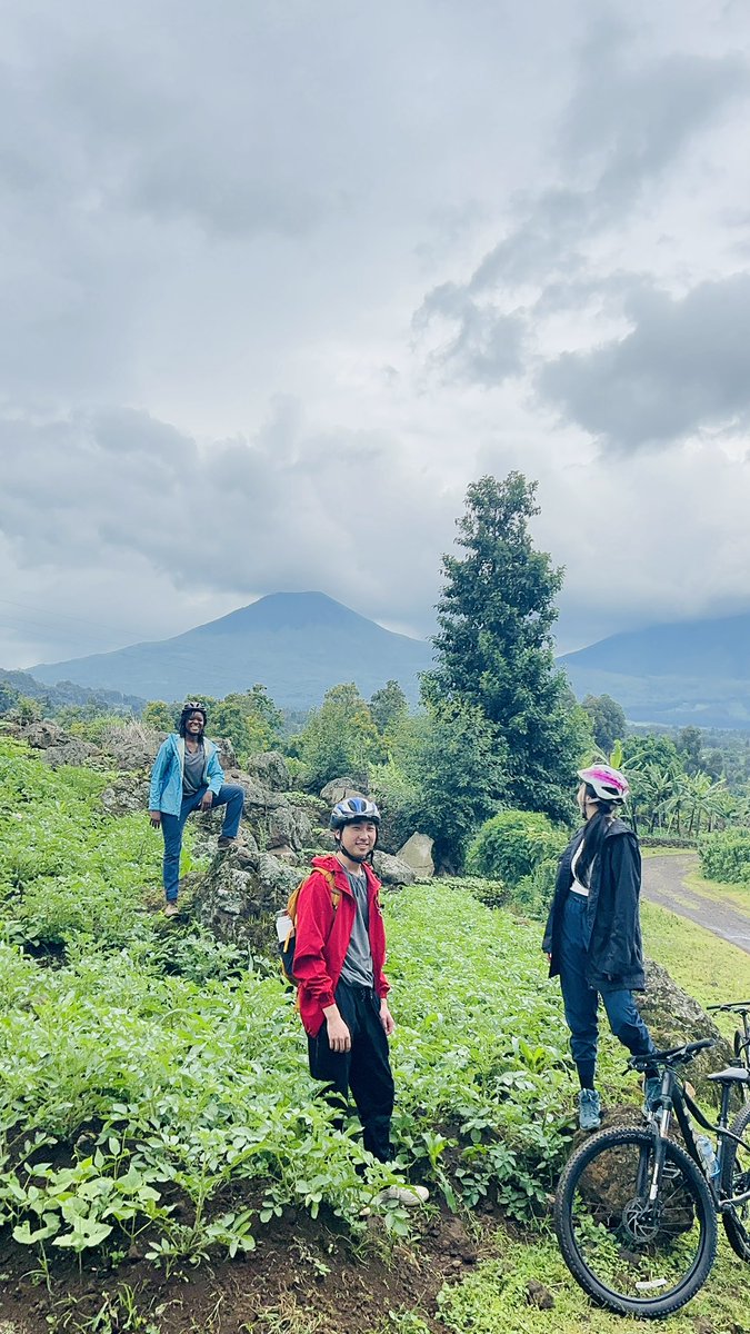 Lava Bike Tours tweet media