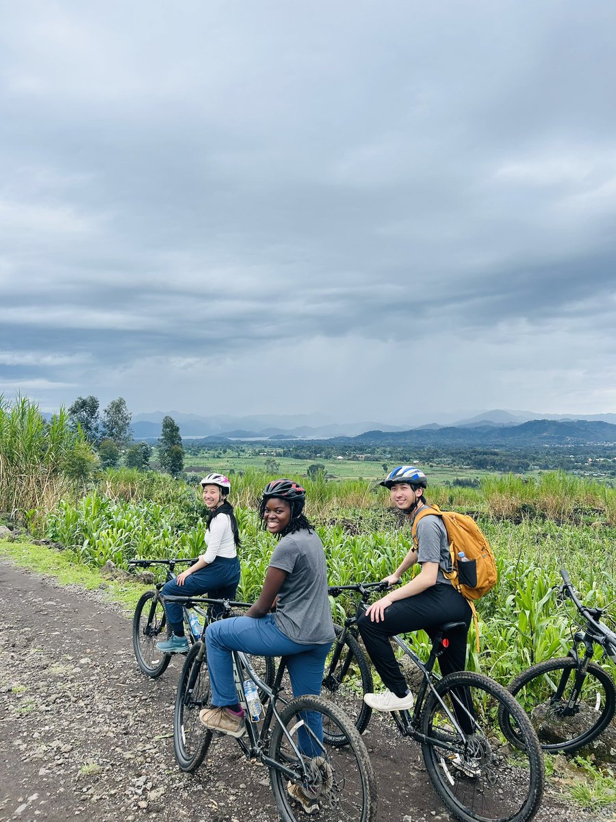 Lava Bike Tours tweet media