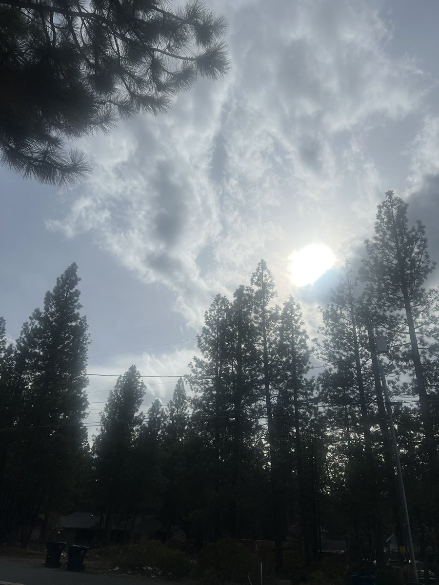 Kaseezy's tweet image. Today it warm but the sky dictators were busy all day. I went on a walk and spent most of it looking up &amp;amp; wondering..just how bad will this get?
@RobertKennedyJr 
#stopgeoengineering 
#TheClearSkiesMovement 
#chemtrails