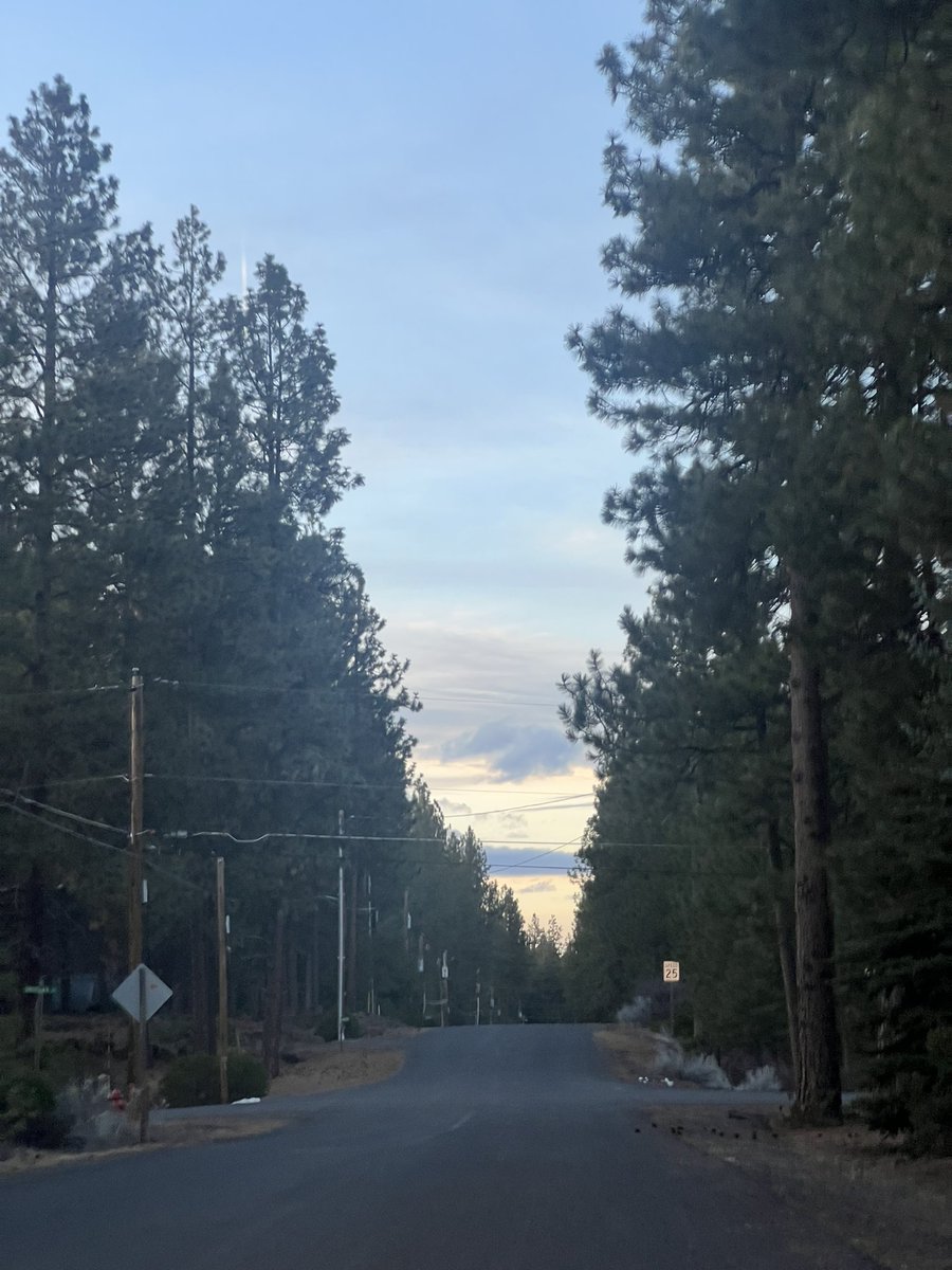 Kaseezy's tweet image. Today it warm but the sky dictators were busy all day. I went on a walk and spent most of it looking up &amp;amp; wondering..just how bad will this get?
@RobertKennedyJr 
#stopgeoengineering 
#TheClearSkiesMovement 
#chemtrails