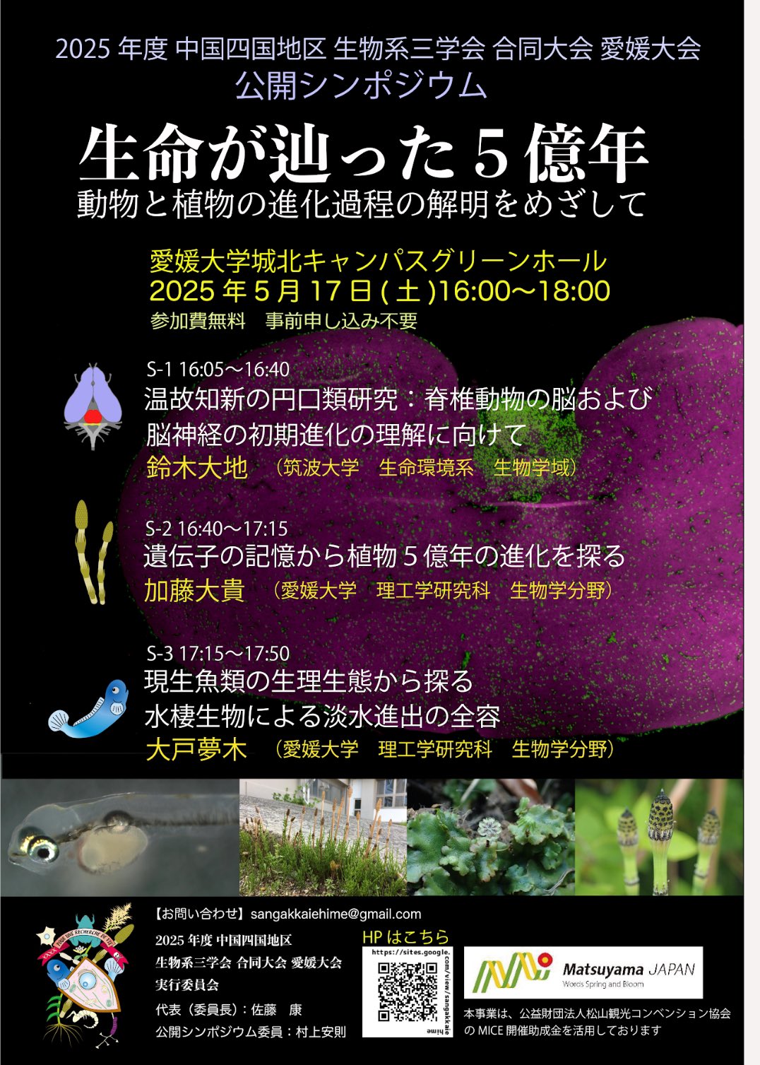 Daichi G. Suzuki (@suz_dg) / X