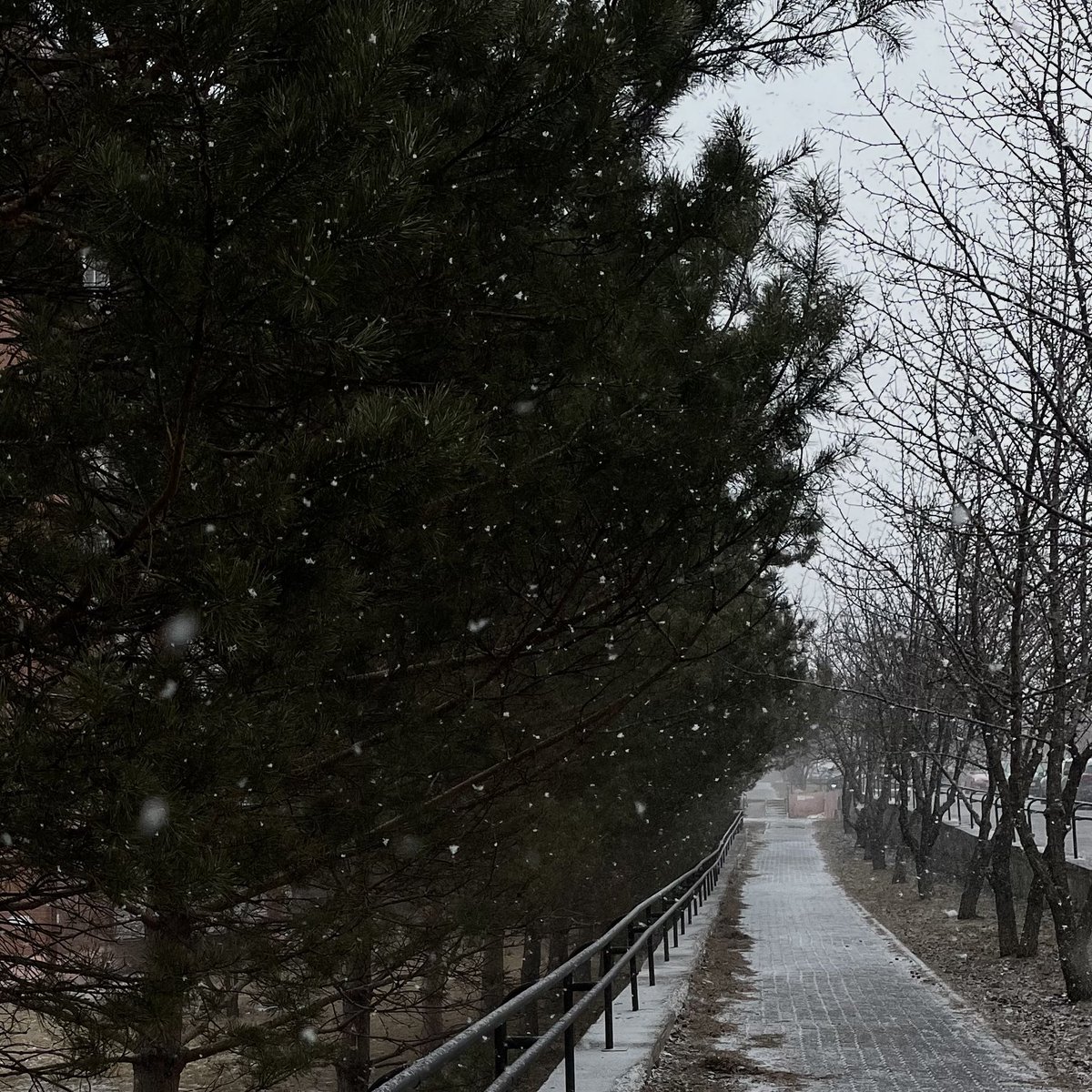 когда вокруг такая (не)весна, появляется такое странное ощущение. всё вокруг кажется ненастоящим. я тоже будто становлюсь хрупче, прозрачнее, как весенний лёд - надавишь, и он ломается в стеклянную крошку. 

и я варю себе кофе. добавляю корицу и уют. и вроде бы продолжаю жить.