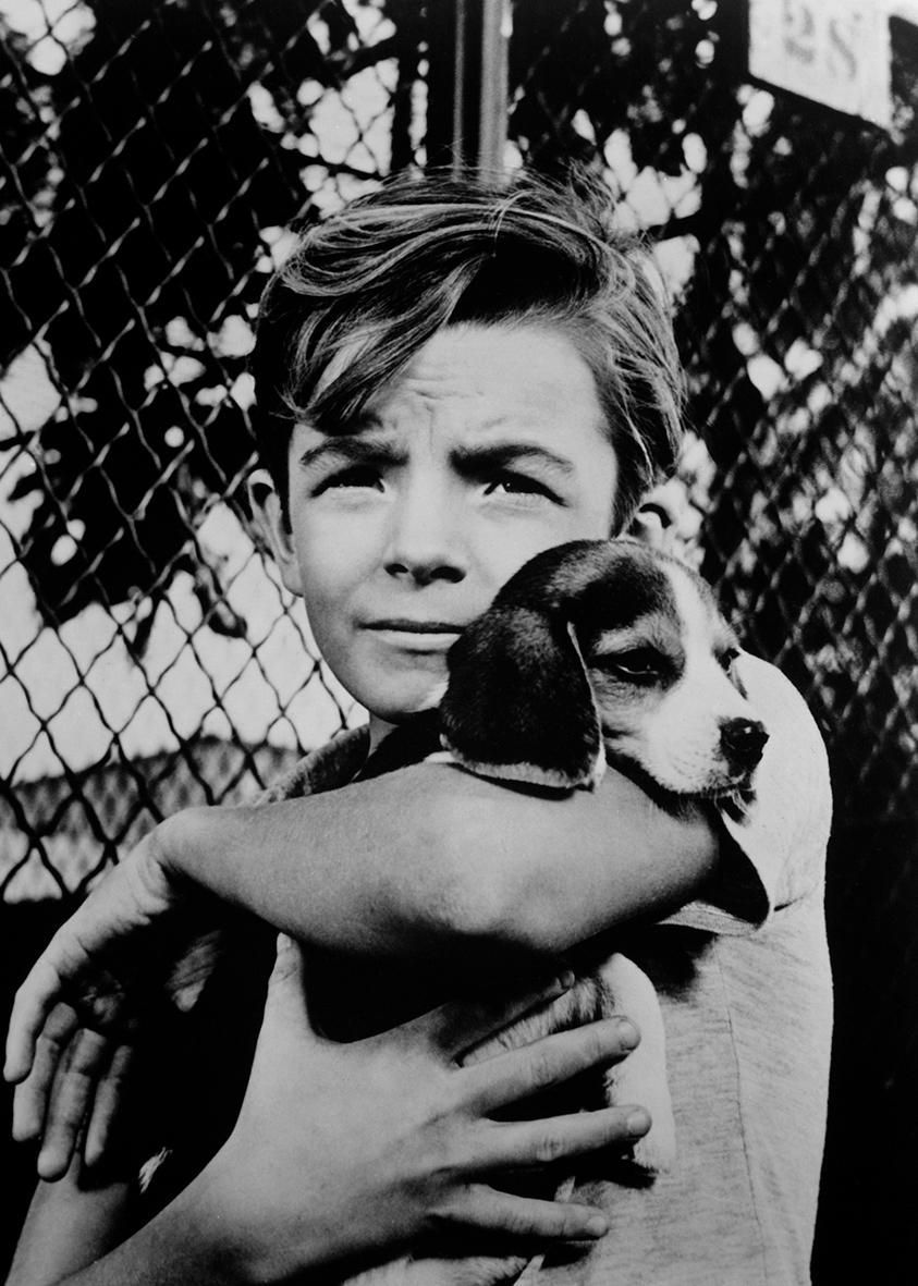 TalkingPicsTV's tweet photo. 👛 After finding a suitcase of money, a paper-boy becomes a robber's target!

6am BOY WHO CAUGHT A CROOK (1961) #WandaHendrix #DonBeddoe #RogerMobley family drama #TPTVsubtitles https://t.co/7K7czgg2IC