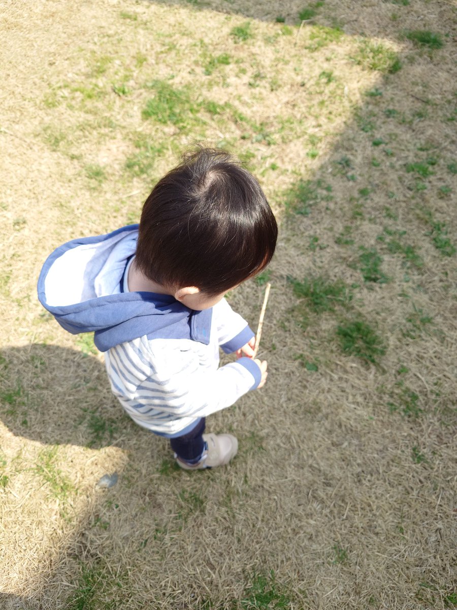 近くの公園までお散歩
最近は棒を持って歩くのがお気に入りの🐹