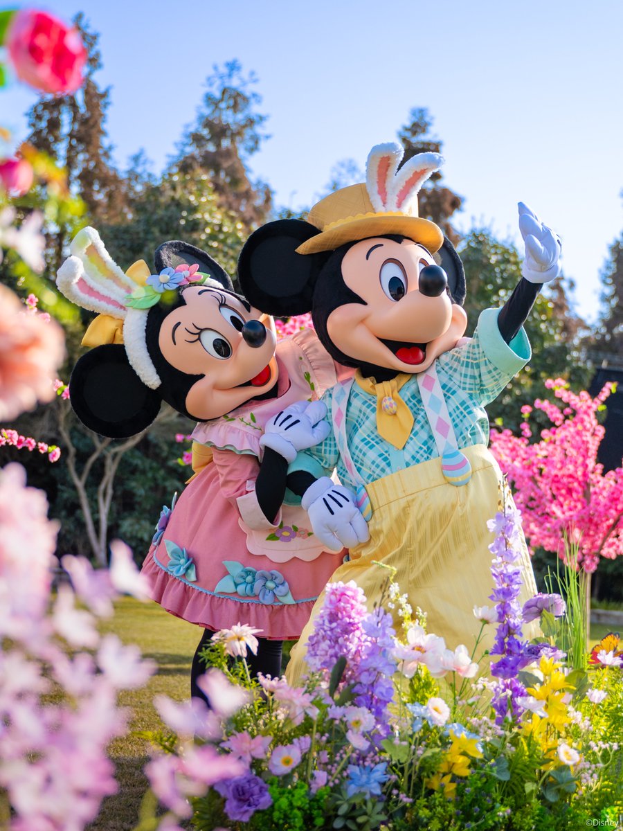 Klook Thailand tweet media