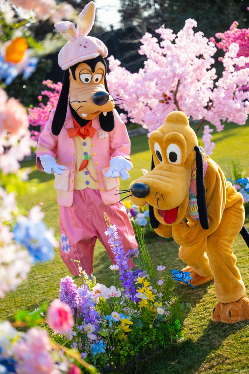 Klook Thailand tweet media