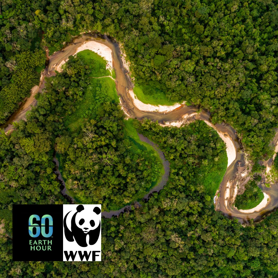 Join Earth Hour 2025 and be part of the world's biggest movement for protecting our planet.  On March 29th at 8:30 PM, switch off your lights and take time out for nature.#EarthHour #WWF #WildlifeMonitoring #radiotracking #radiotelemetry #WildlifeConservation #wildlifetelemetry
