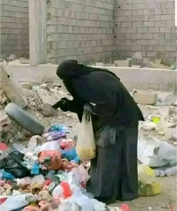 حرائر اليمن تأكل من القمامة
والقتلة الحوثيين يعيشون في القصور ويدعون نصرة شعب فلسطين
من ليس فيه الخير لأهله لن ينصر جيرانه