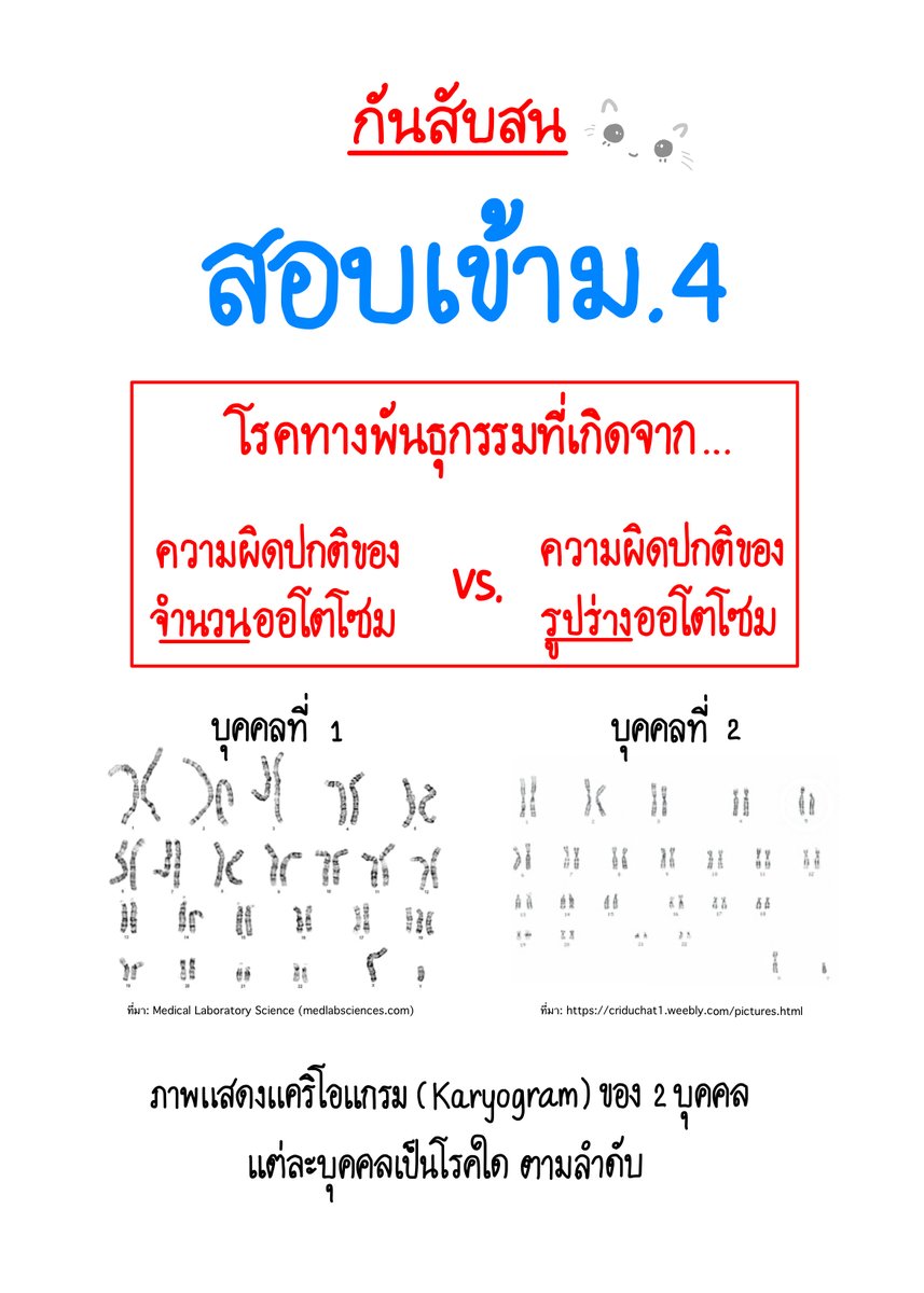 pupe_MSc_chula's tweet photo. เตรียมสอบ  30 มี.ค.นี้ 🧡เตรียมสอบเข้าม.4 รอบห้องเรียนปกติ  #smte #msep #ห้องเรียนพิเศษ #สอบเข้าม4 #พสวท #เตรียมอุดม #dek71 #tu #mwit #จภ #วมว #dek70 #dek68 #esmte #สสวท #วิทย์พลังสิบ #ห้องเรียนปกติ https://t.co/q4MazEa8XF