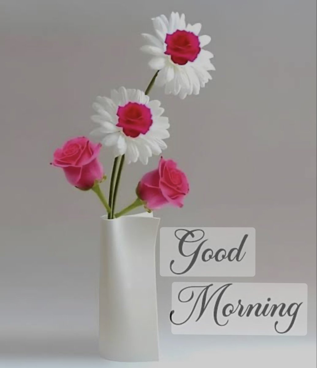 MaryjaneCh8175's tweet image. Good morning 🌞 X fam
Hope you all are doing good
Today is blessed Amen 🙏