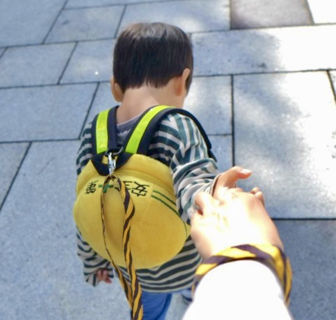 安全第一 子ども用ハーネスリュック こどアレ on X: 