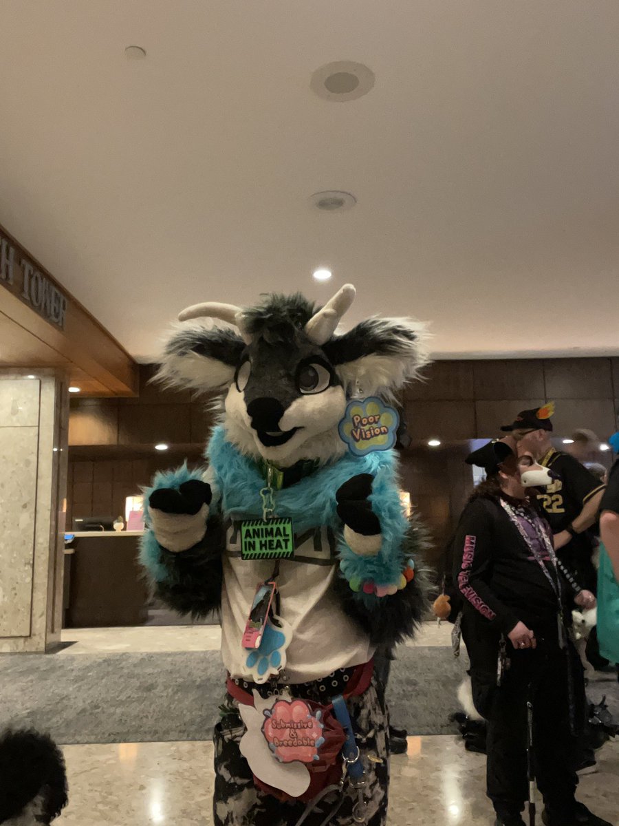 dykebaitmutt's tweet photo. i’m having so much trouble finding photos of me in suit and/or my service dog at #FE2025 #furnealequinox2025 https://t.co/R4vYHHeMId