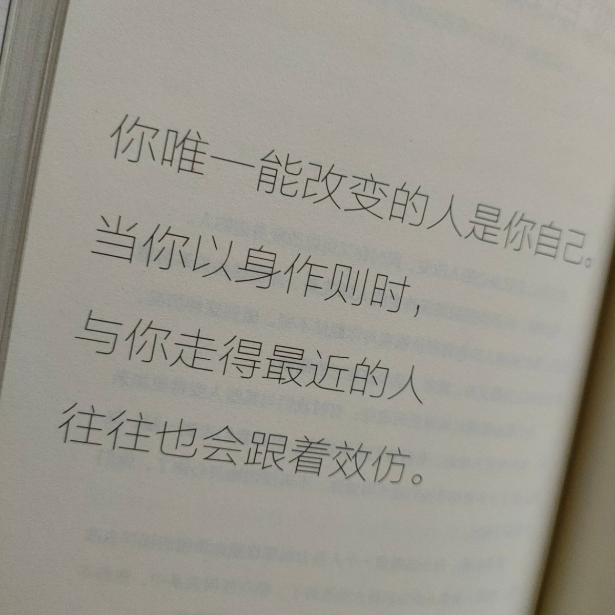 媒体预览