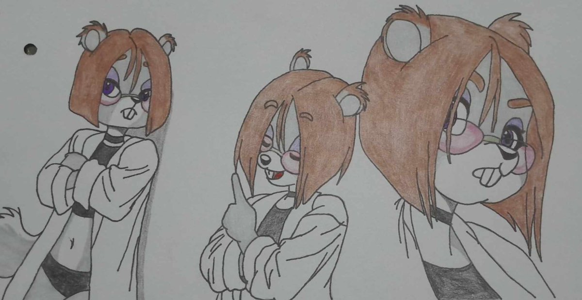 BulturiLon's tweet image. My New Drawing the Scientist, Hunter and Crazy Squirrel
#furry #art #furryarts
@BottomLefty