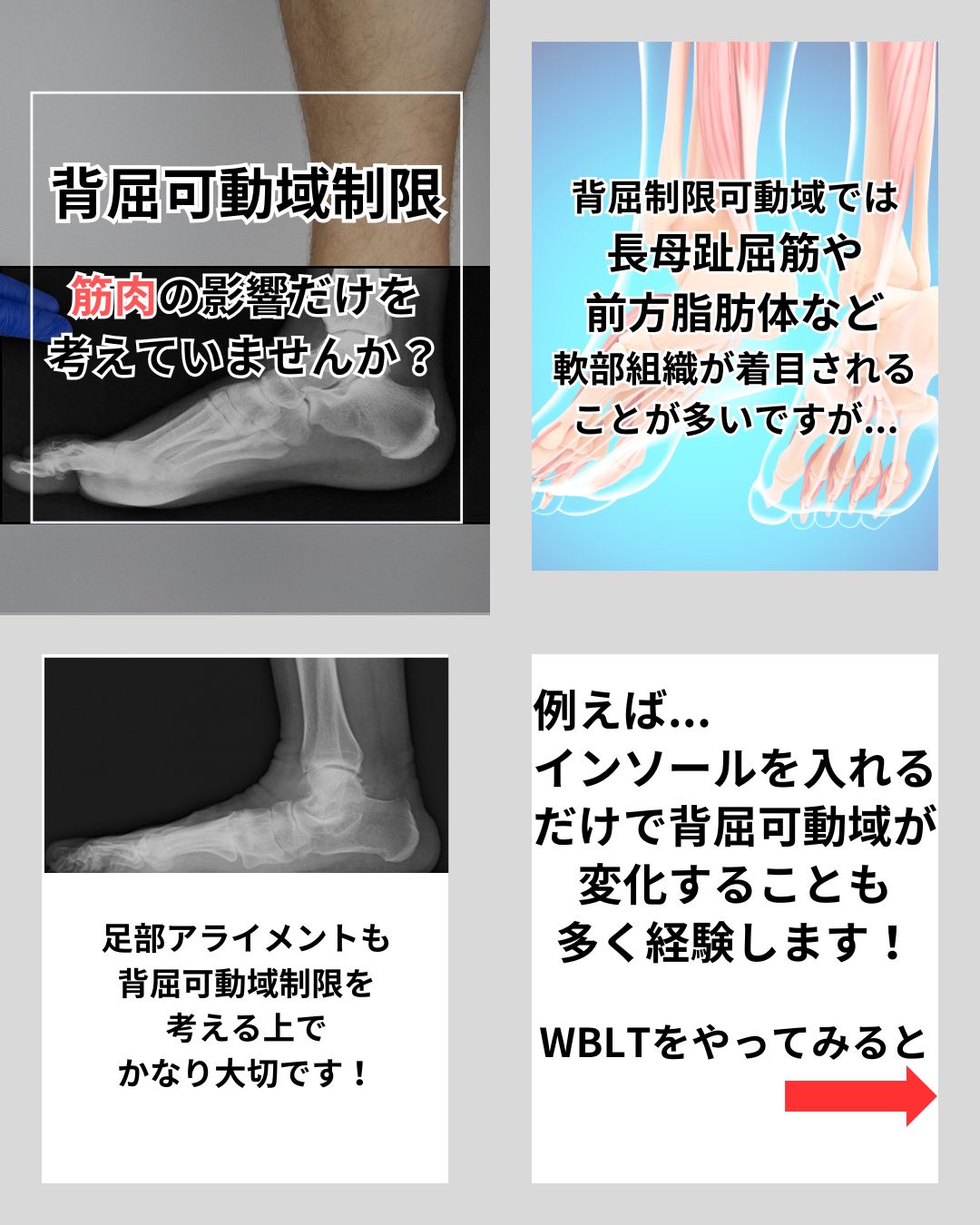 お礼や感謝伝えるプチギフト 北山佳樹@エコーと足部が大好き on X:  健康/医学
