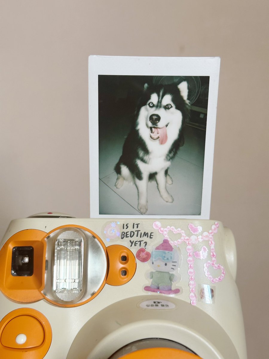 kongfilmjapan's tweet photo. Instax mini 7 ; 1590.-
💐เทสแล้วผ่าน ทำงานเต็มระบบ
กล้องโพลารอยด์ภาพแนววฟิล์มมถ่ายเเล้วได้รูปเลย ไว้ใช้ในเทศกาลวันสำคัญต่างๆ ให้เพื่อน ให้เเฟน ได้ภาพเลยๆม่ต้องรอ สภาพสวยมาก 90%
#กล้องโพลารอยด์ #กล้องโพลารอยด์มือสอง #โพลารอยด์ #กล้องโพลารอยด์มือ2 #fujiinstax #instaxmini7 #y2k https://t.co/Vi0FBEJmie