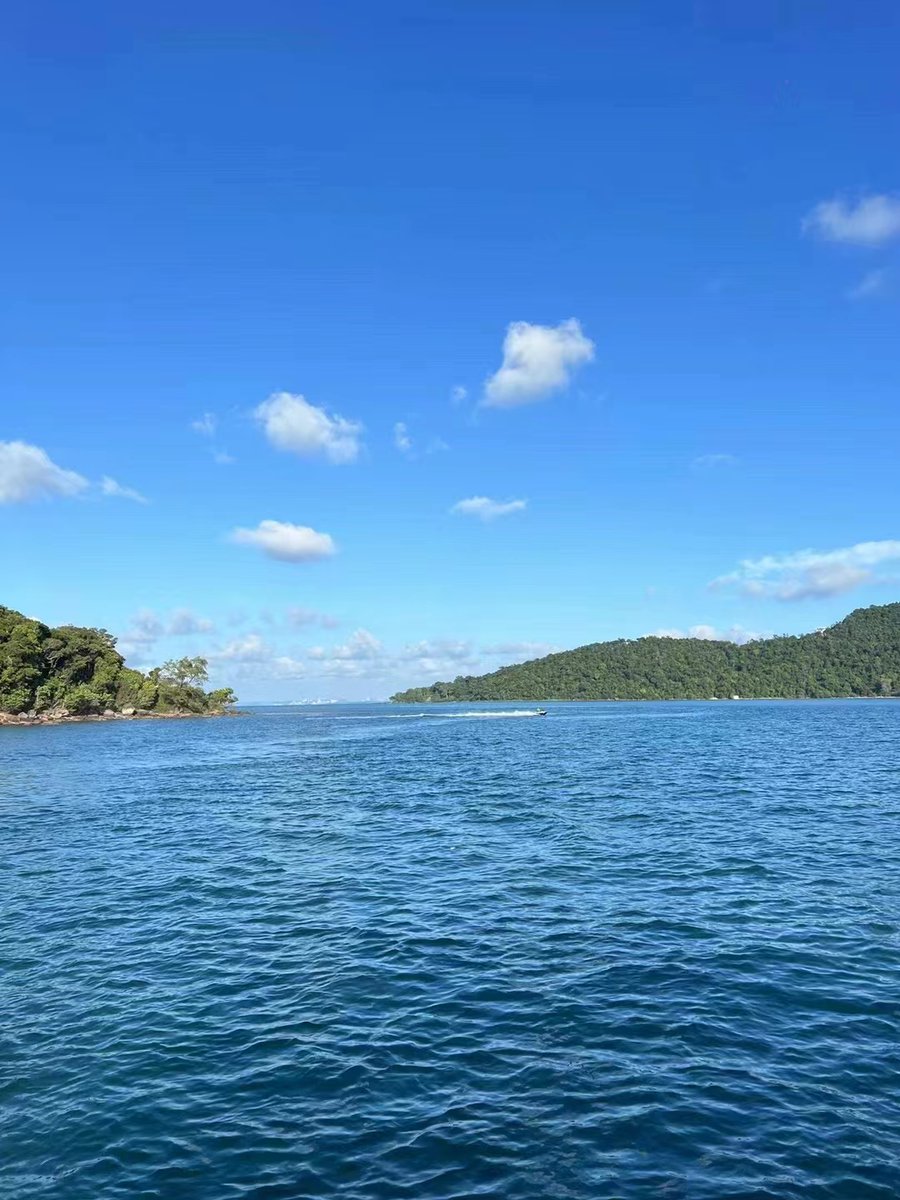 mortmain dynamitard hyperglycaemia
Sea fishing