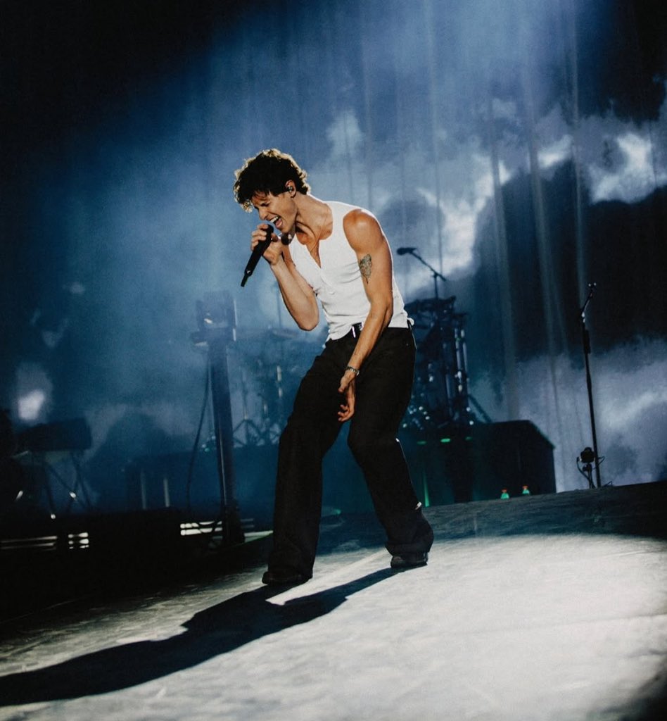 Shawn Mendes stuns in new tour photos.