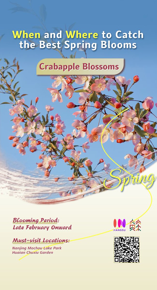 jiangsuandyou's tweet photo. Spring's limited-edition flower fields are blooming! 🌼🌸🌷 Follow our Jiangsu flower calendar—never miss a petal-perfect moment. #JiangsuBlooms #FlowerSeason #SpringInJiangsu #Wanderlust #CinaTravel @VisitJiangsu @GoJiangsu #cherryblossom https://t.co/dBTzFmOVJA