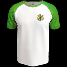 Dresden, 25.3.2034: Die Nationalmannschaft Groß-Sachsens, in grünen Trikots, spielt in der #UEFA #NationsLeague gegen Schottland.

Die Musikkapelle spielt die neue Nationalhymne, „I‘m too sächsy“ von Right Said Fred