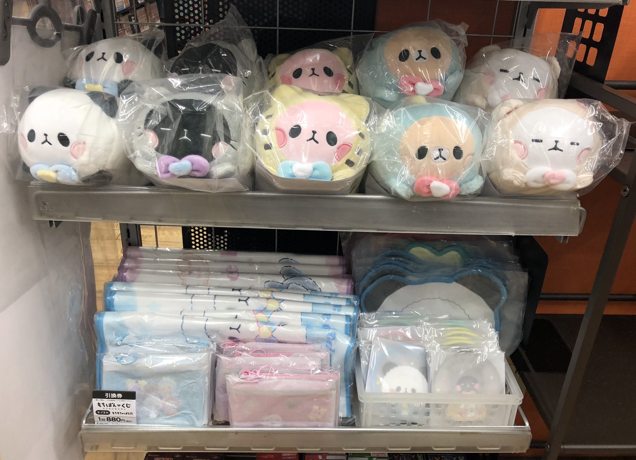 【新品】もちもちぱんだ　もちぱんくじ　1ロット 10周年記念オンラインくじ発売中