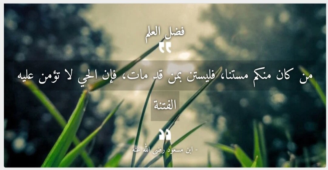 Abu rayhan (@aburayhan428549) on Twitter photo 