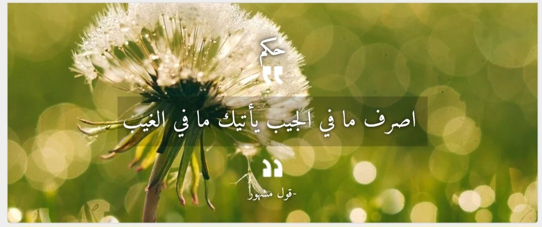 Abu rayhan (@aburayhan428549) on Twitter photo 