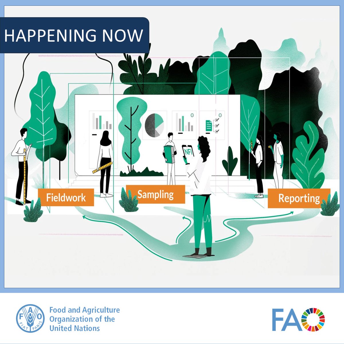 #HappeningNow 🌳

At the regional "Forest data without borders" workshop in Bangkok, <a href="/FAO/">Food and Agriculture Organization</a> launched the National Forest Inventory (NFI) Learning Journey — a self-paced experience to support planning, implementing, and analyzing NFIs.

More information👉bit.ly/NFIjourney-en