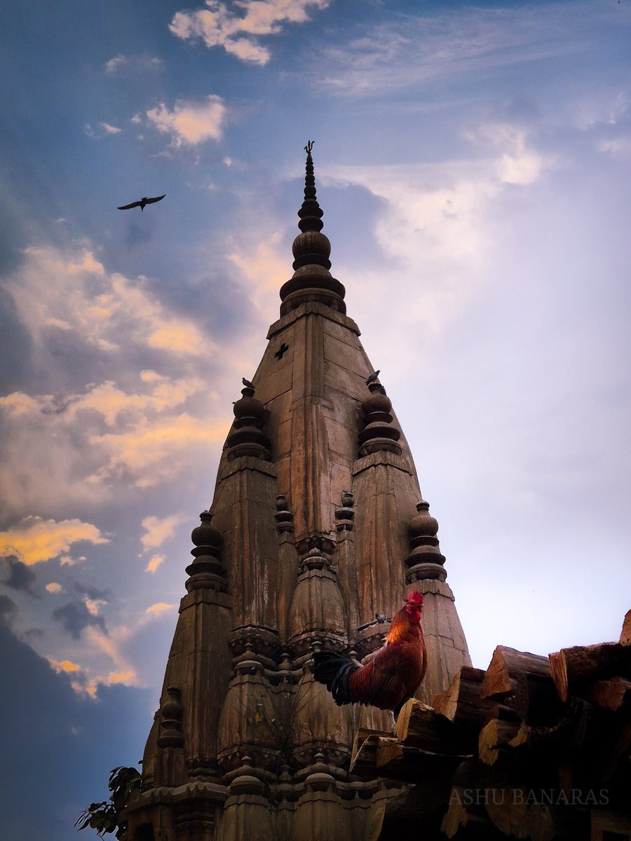 Ashubanaras's tweet image. A moment frozen in time—where ancient temples meet the rhythm of everyday life. ⏳🏛️🐓 
.
.
.
#FreezeTheMoment #BanarasMagic #TimelessIndia #StreetPhotography #Ifreeztime #SacredAndSimple