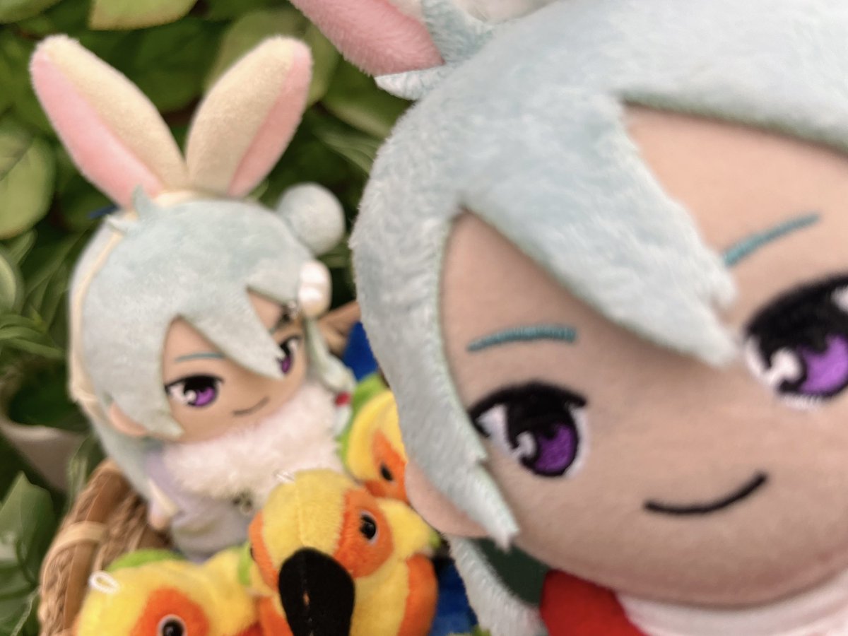 渉ぬいネオ tweet media