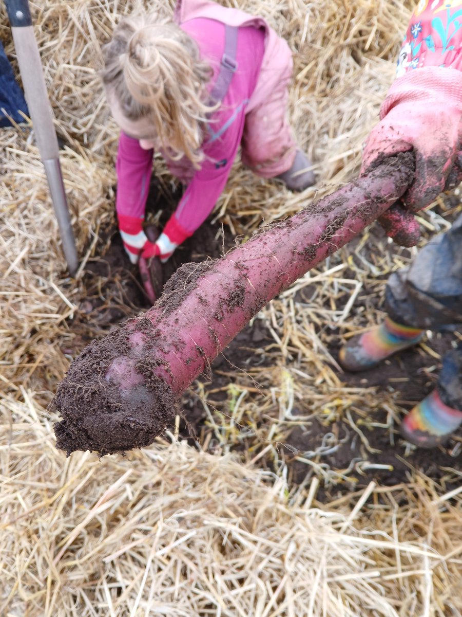 Transition UStA tweet media