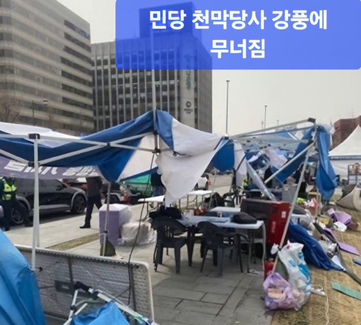 고양이 나만 없어 tweet media