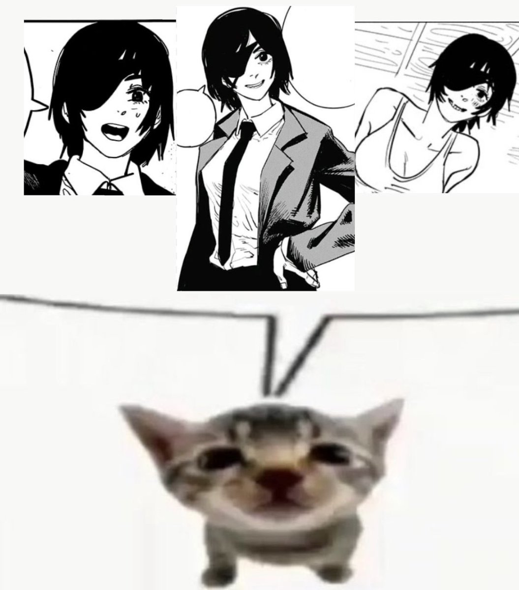 Proyecto_Pavo (@proyecto_pavo) on Twitter photo 