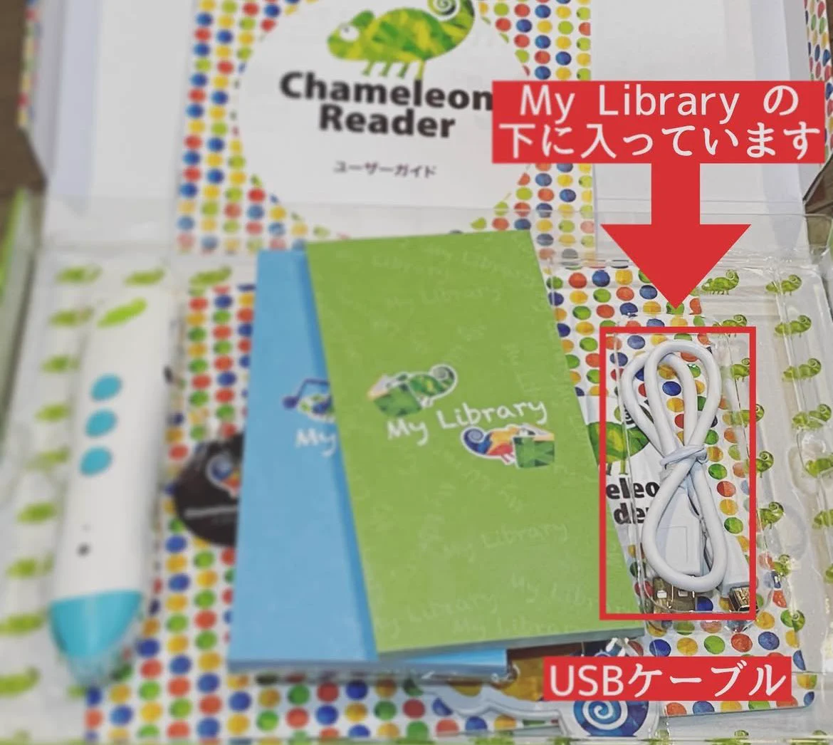 カメレオンリーダー (@ChameleonRd_jp) / X