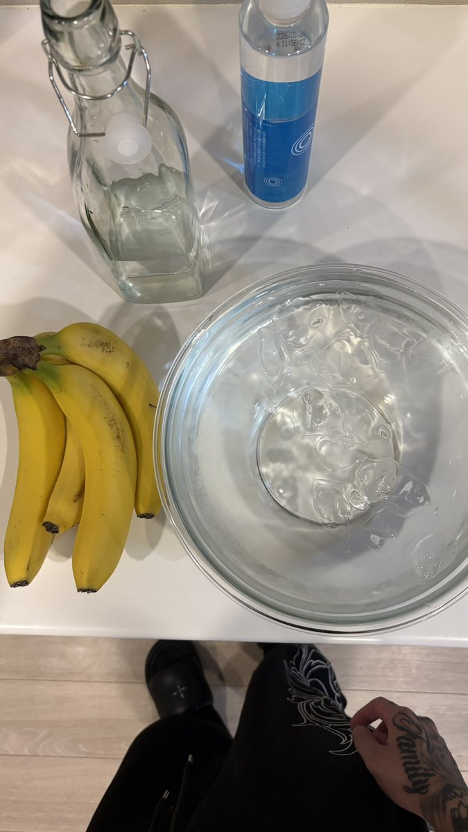 thereancool's tweet image. we need saratoga rn.