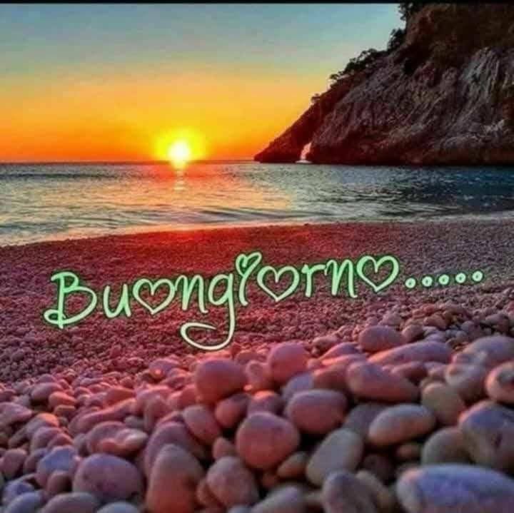 RITABIANCHi56 tweet media